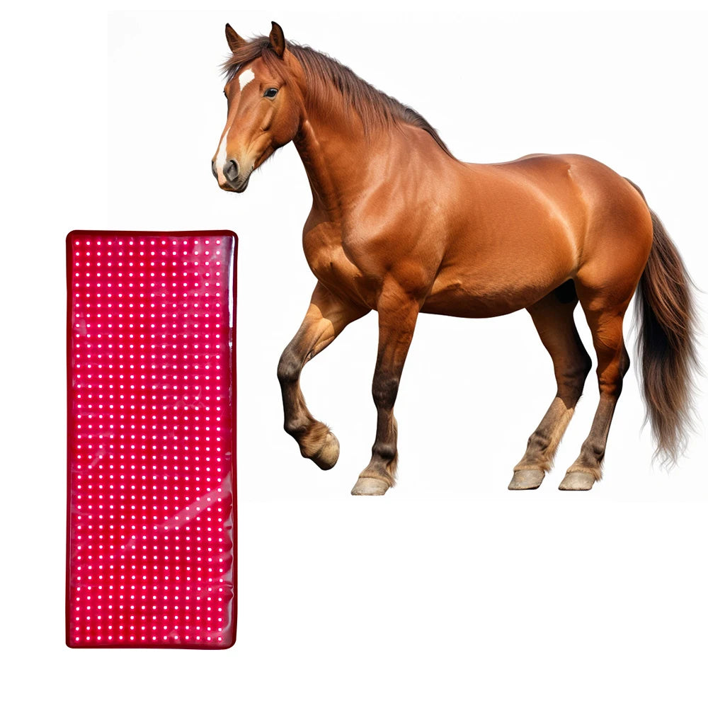 660/850nm Flexible Back Led Red Light Infrared Therapy Pad Waist Belt for Horse Pain Relief