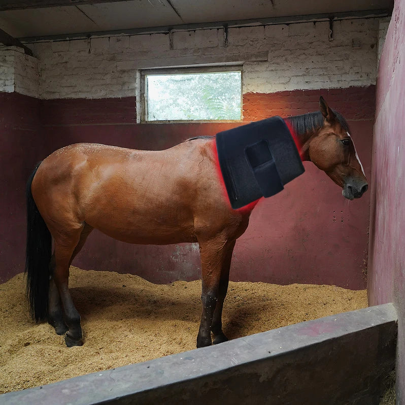 660/850nm Flexible Back Led Red Light Infrared Therapy Pad Waist Belt for Horse Pain Relief
